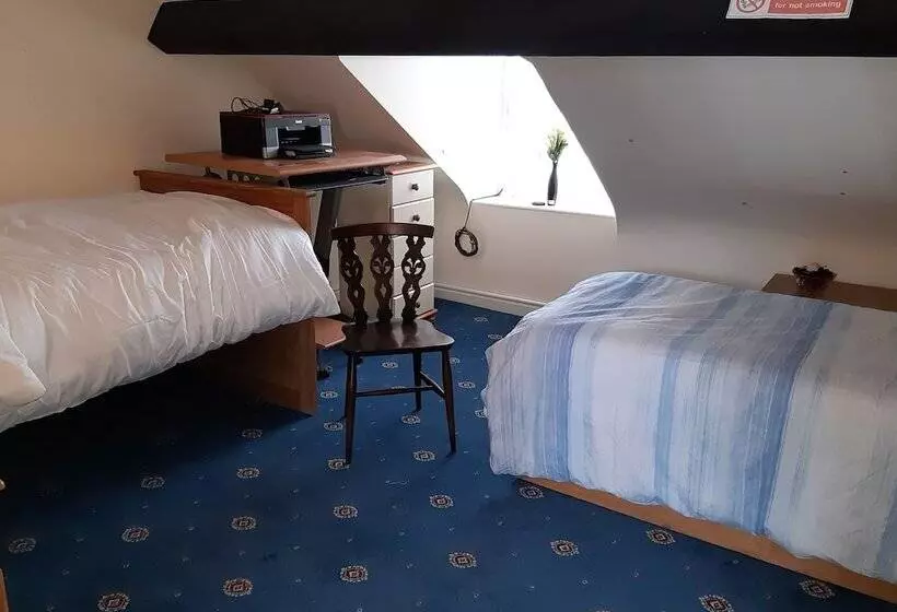 ホテル Phoenix Nights Guest House