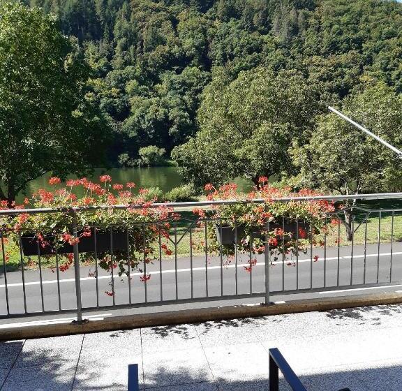 بنسيون Haus Moselliebe B&b