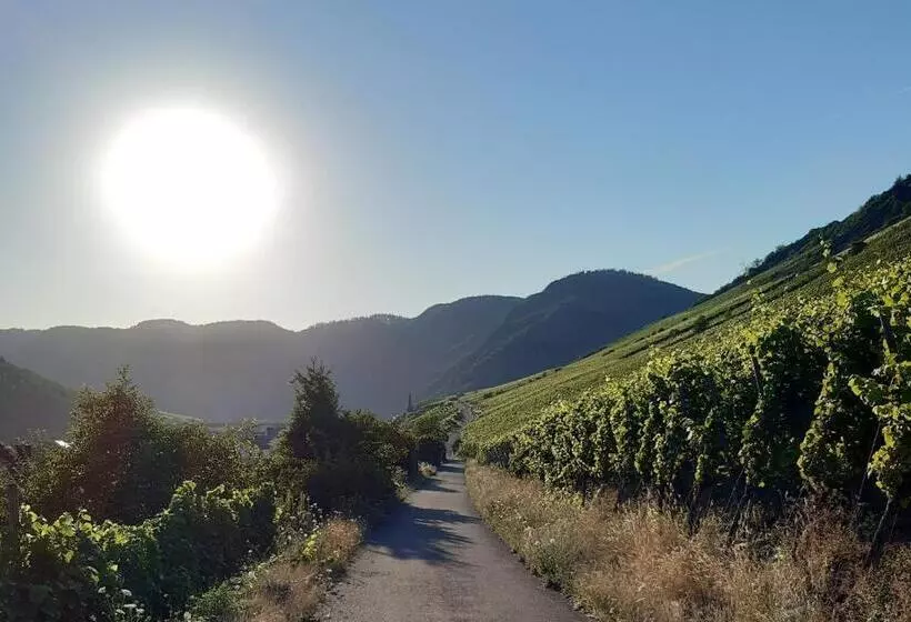 Majatalo Haus Moselliebe B&b