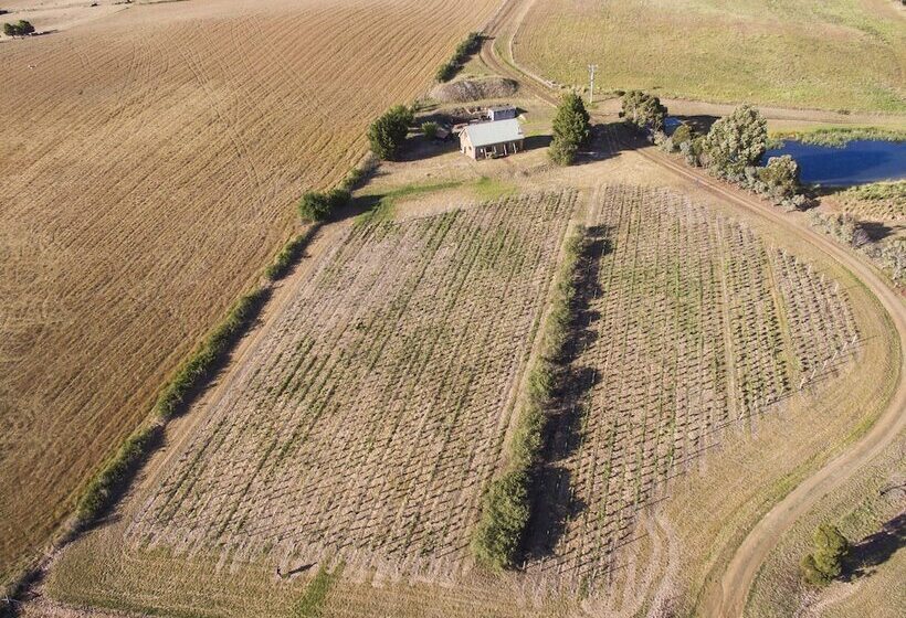 Charles Reuben Estate