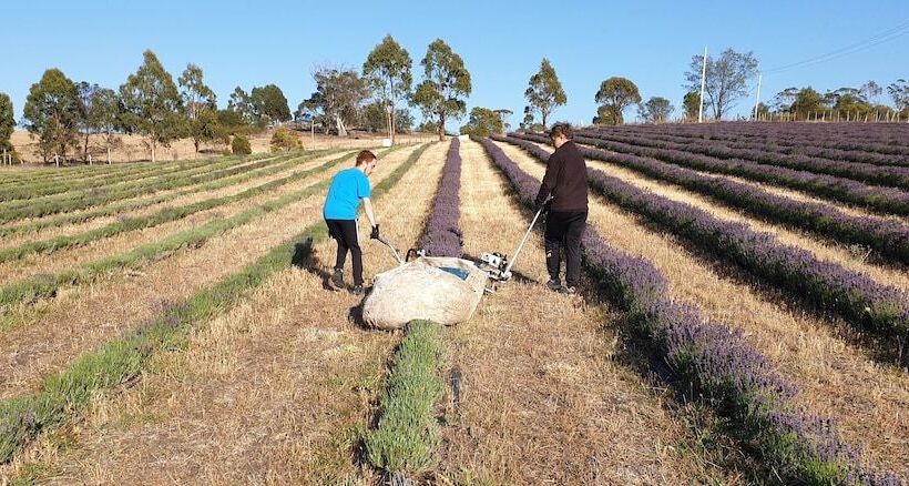 Charles Reuben Estate