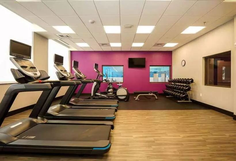 ホテル Hampton Inn & Suites Aurora South Denver
