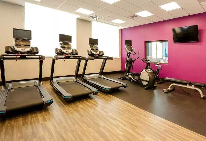 ホテル Hampton Inn & Suites Aurora South Denver