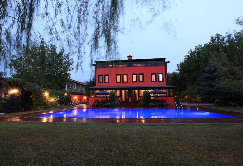 فندق The Red Witch Boutique