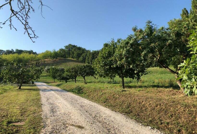 تختخواب و صبحانه Dai Ventu