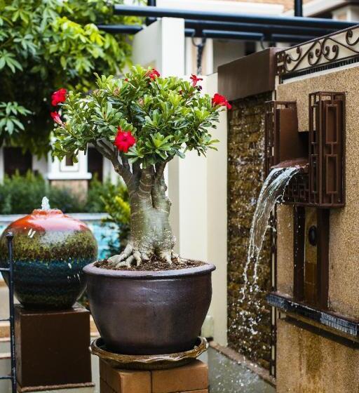 La Seine City Resort Chiang Mai