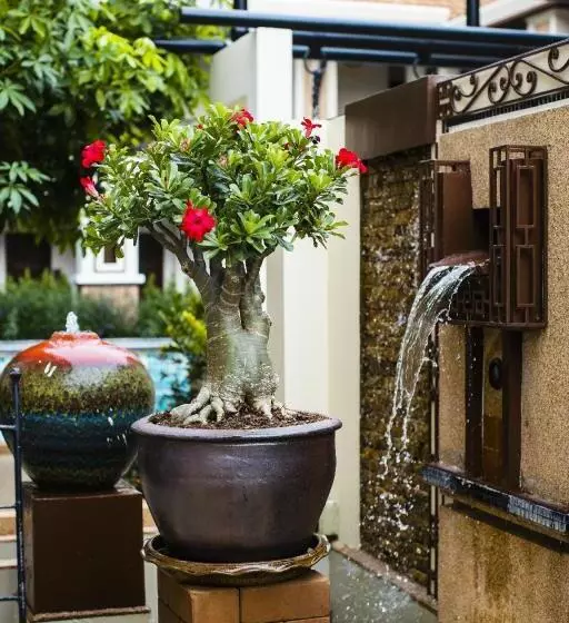 La Seine City Resort Chiang Mai