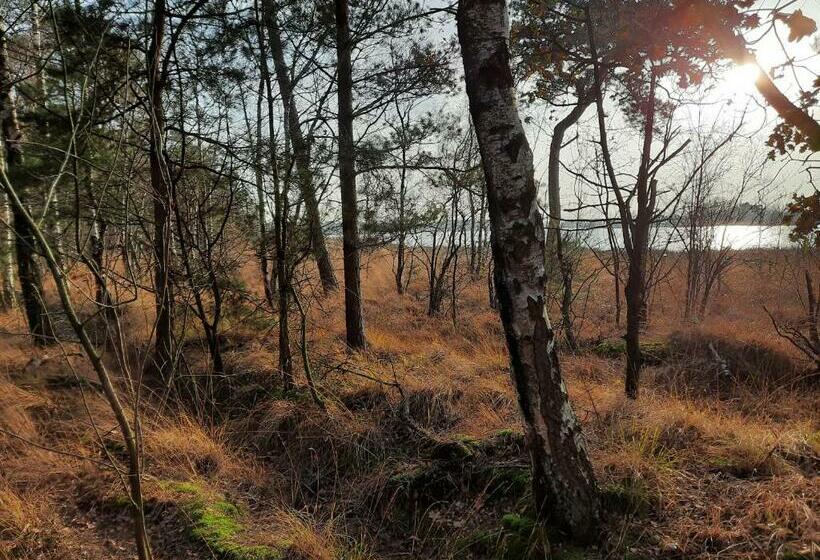 Bed and Breakfast Quarantaine