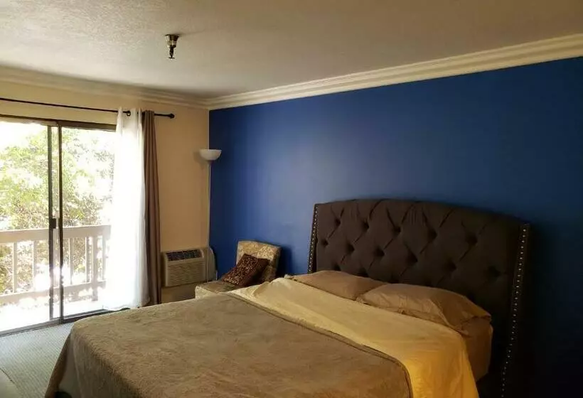 ホテル Olympic Suites B08