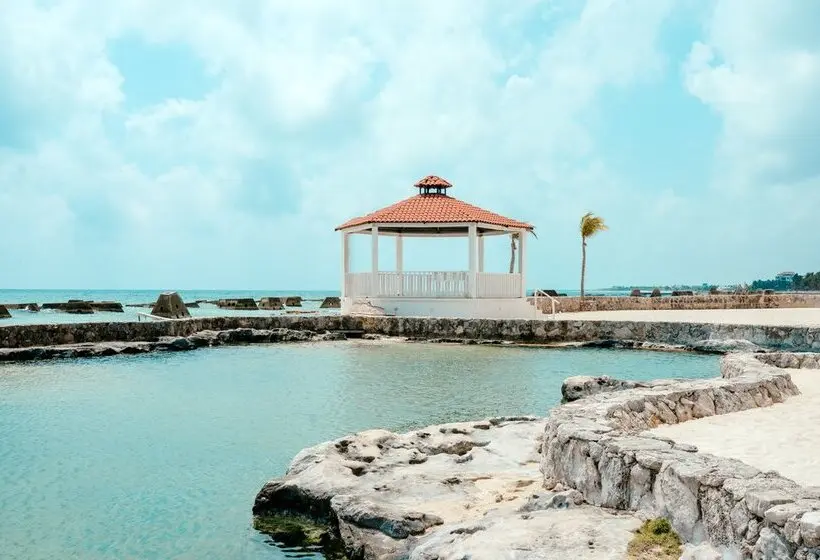 ホテル El Dorado Royale - All & More Inclusive - Adults Only