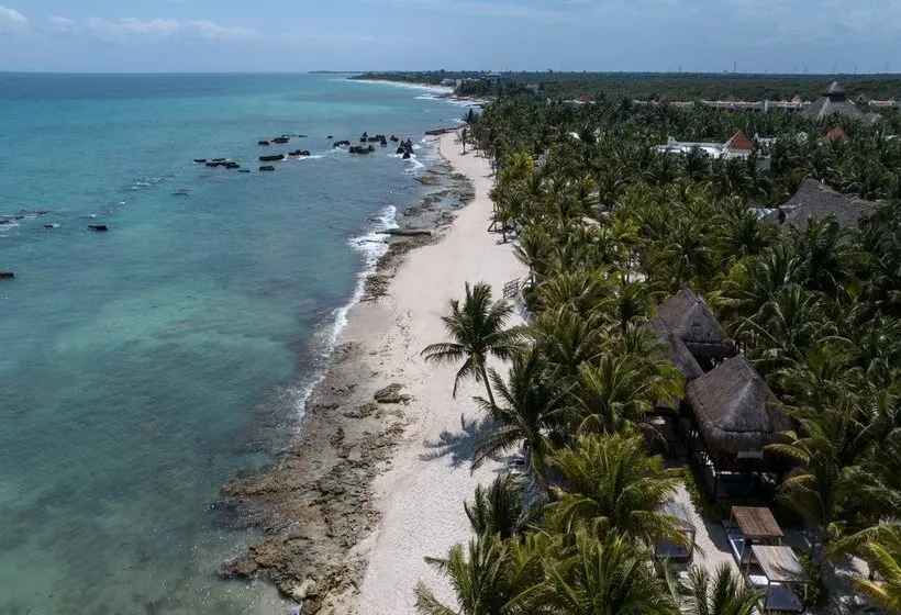 ホテル El Dorado Royale - All & More Inclusive - Adults Only