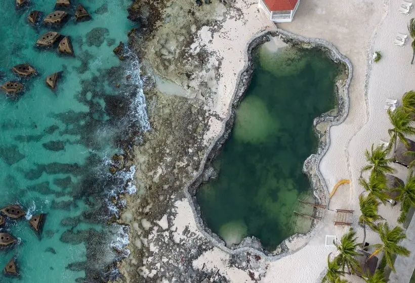 ホテル El Dorado Royale - All & More Inclusive - Adults Only