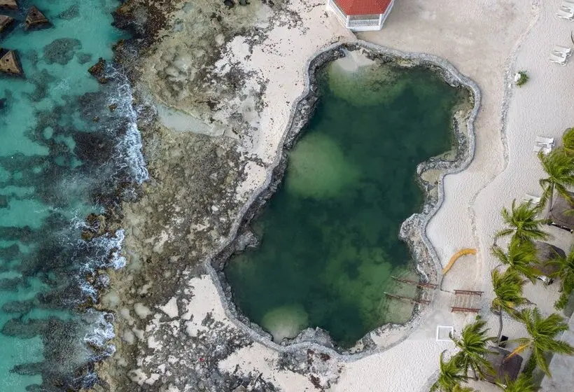 ホテル El Dorado Royale - All & More Inclusive - Adults Only