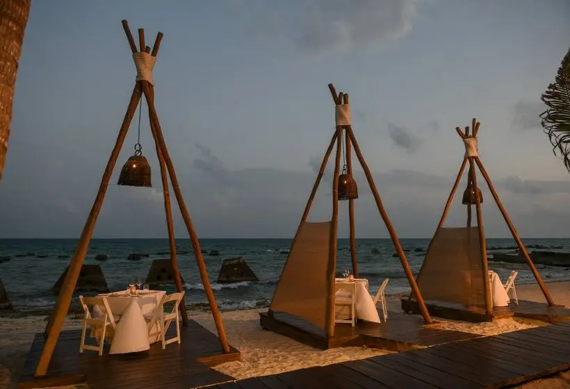 ホテル El Dorado Royale - All & More Inclusive - Adults Only