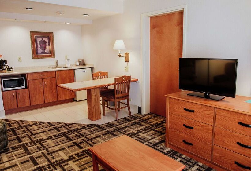 هتل Hampton Inn By Hilton Torreónairport Galerías