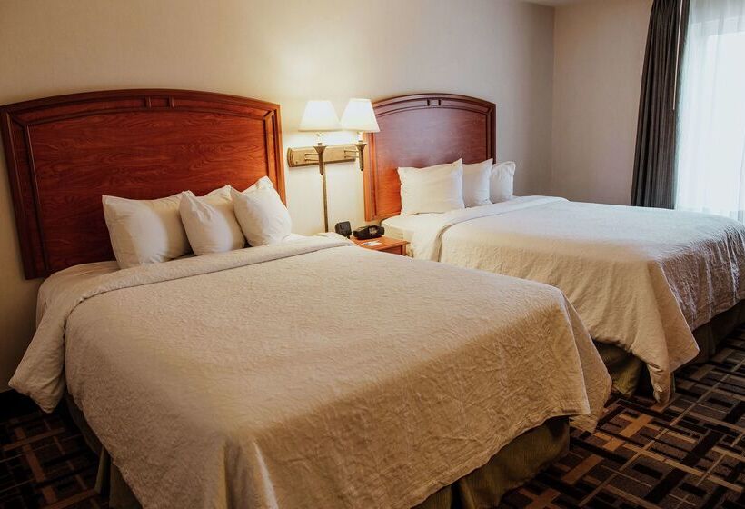 هتل Hampton Inn By Hilton Torreónairport Galerías