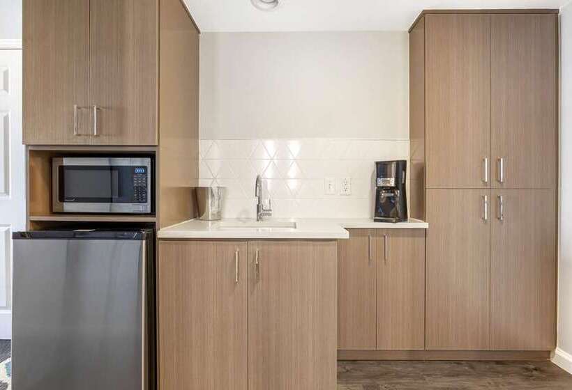 هتل Hilton Grand Vacations Club Paradise Las Vegas