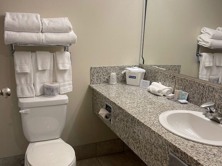 ホテル Travelodge By Wyndham Stony Plain