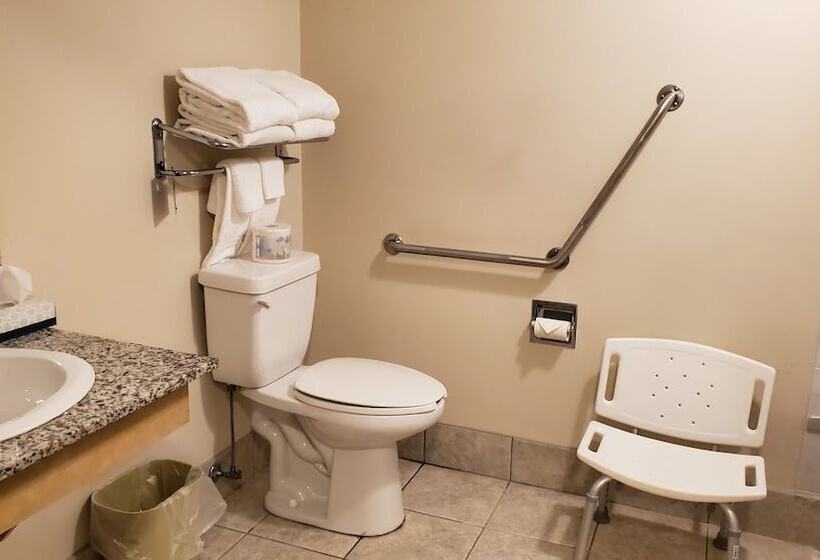 ホテル Travelodge By Wyndham Stony Plain