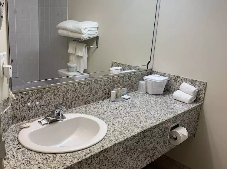 Отель Travelodge By Wyndham Stony Plain