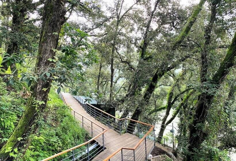 בית מלון כפרי The Rosefinch Sarovar Portico