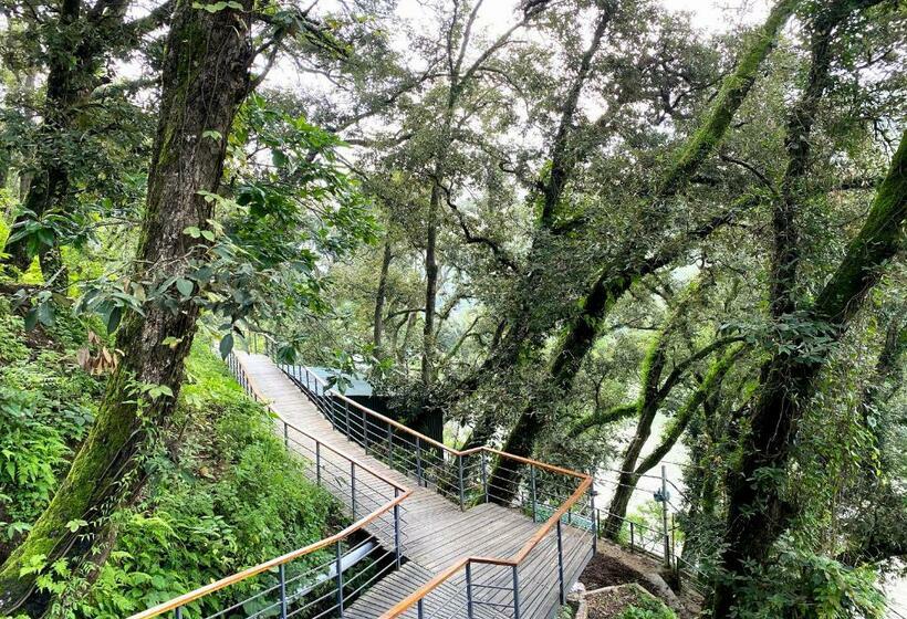 בית מלון כפרי The Rosefinch Sarovar Portico