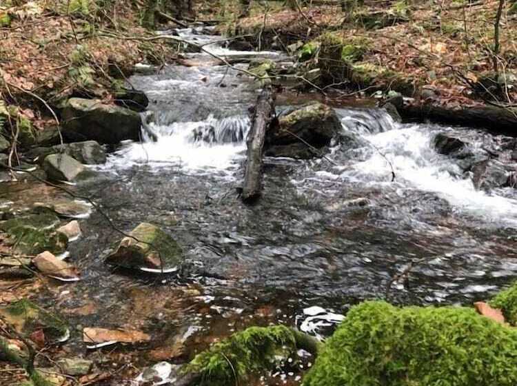 호텔 Weiherhof Am Golfpark