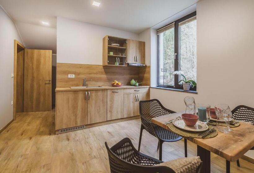 پانسیون Center Vintgar