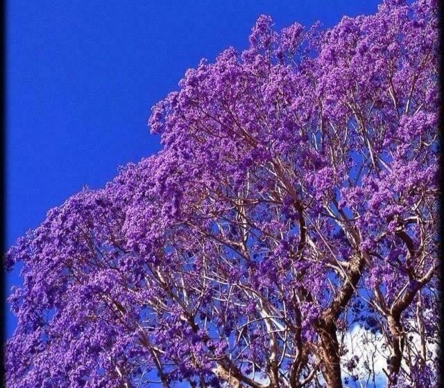 Bed and Breakfast The Church