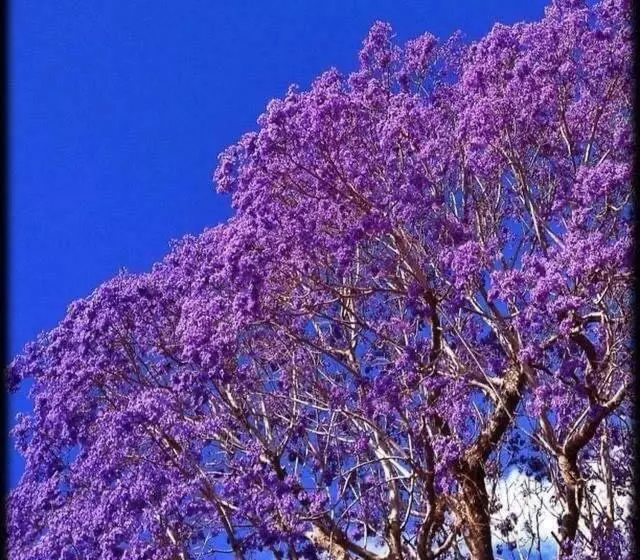 Aamiaismajoitus (B&B) The Church