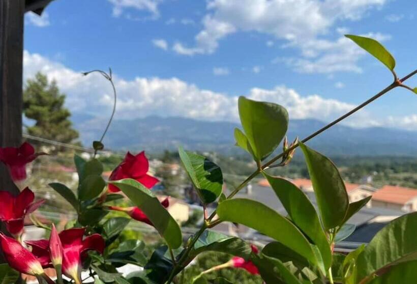 ホテル Pino Loricato