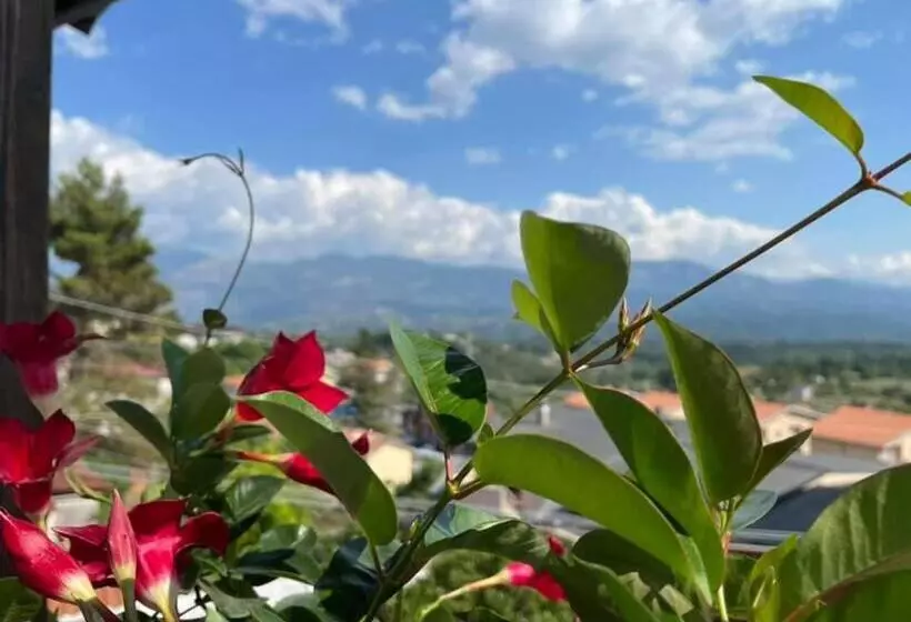 Hotelli Pino Loricato