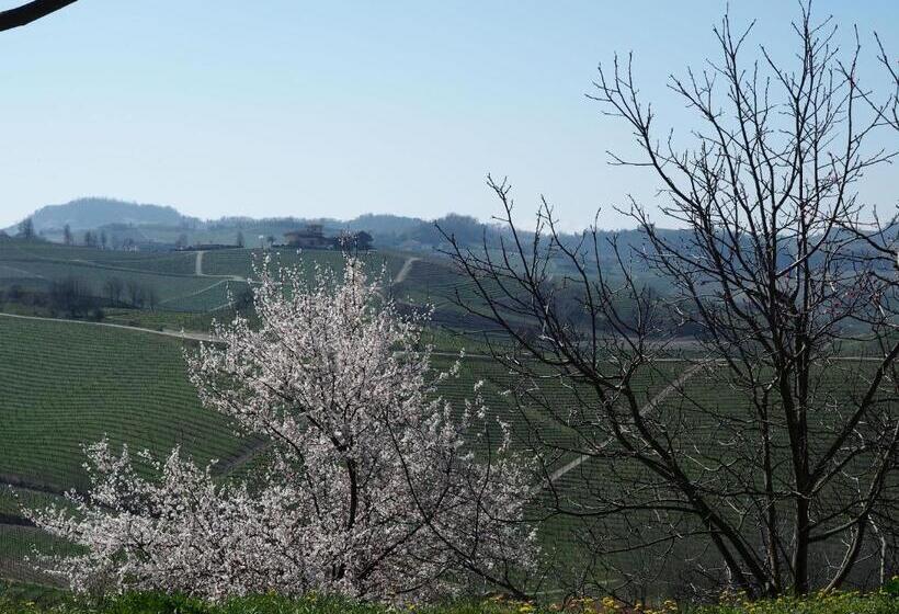 Tenuta Montanello B&b