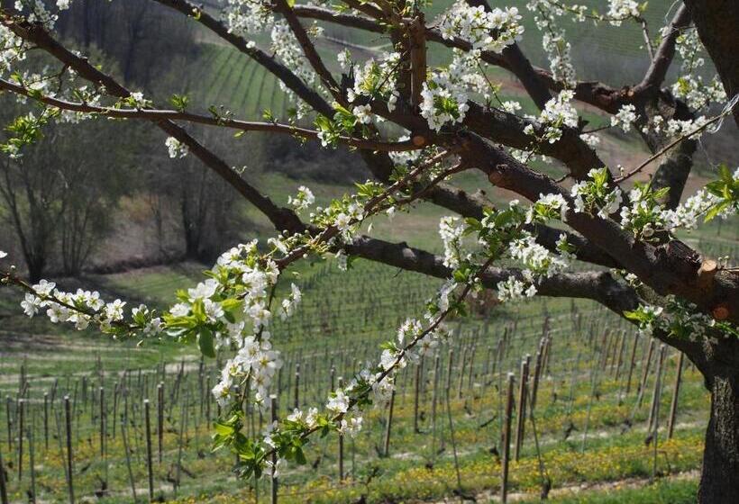 Tenuta Montanello B&b