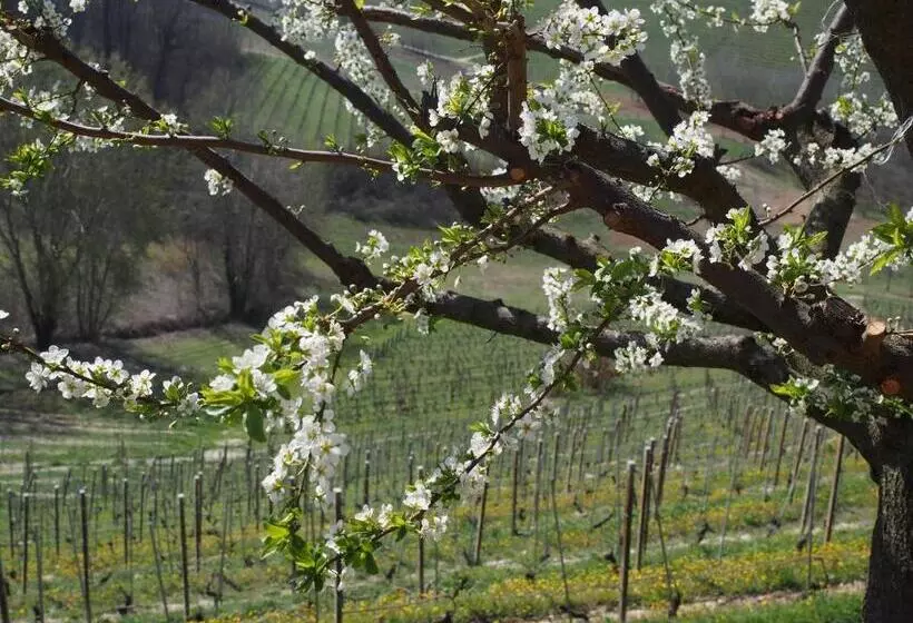 Tenuta Montanello B&b