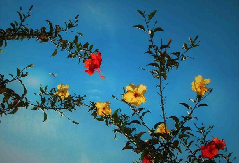 پانسیون Casa De Frida Pousada Galeria