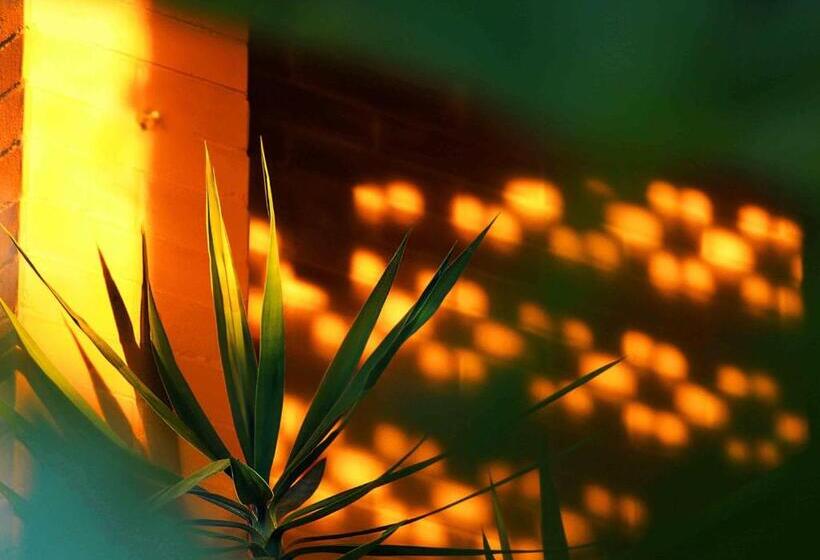 پانسیون Casa De Frida Pousada Galeria