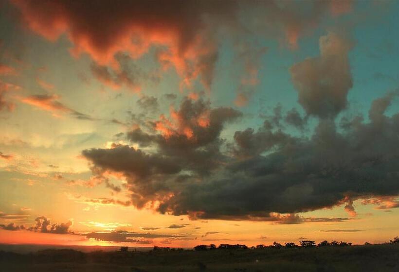 پانسیون Casa De Frida Pousada Galeria