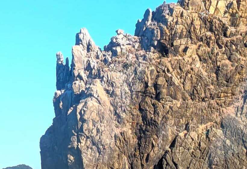 酒店 Kulabo Taishokan