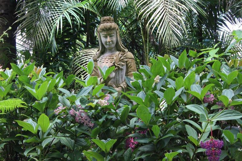 ホテル Atherton Rain Forest Motor Inn