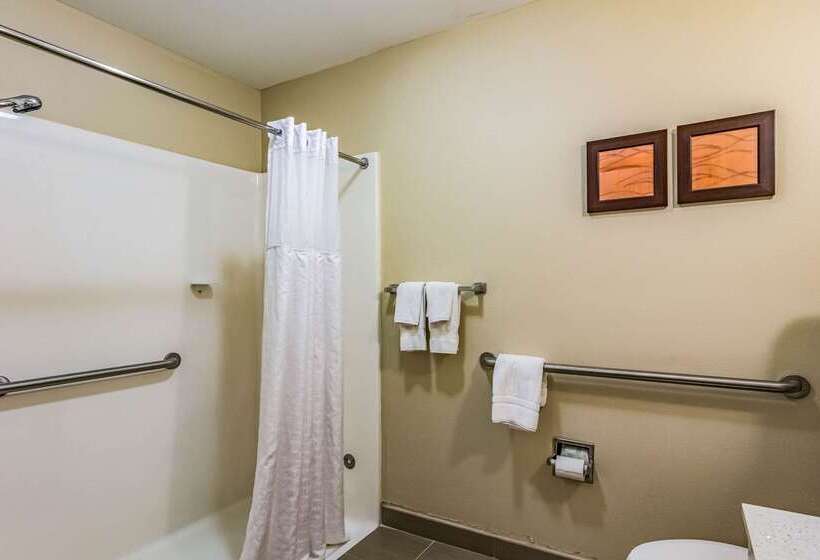 בית מלון כפרי Comfort Inn & Suites Chattanooga West Lookout Mountain