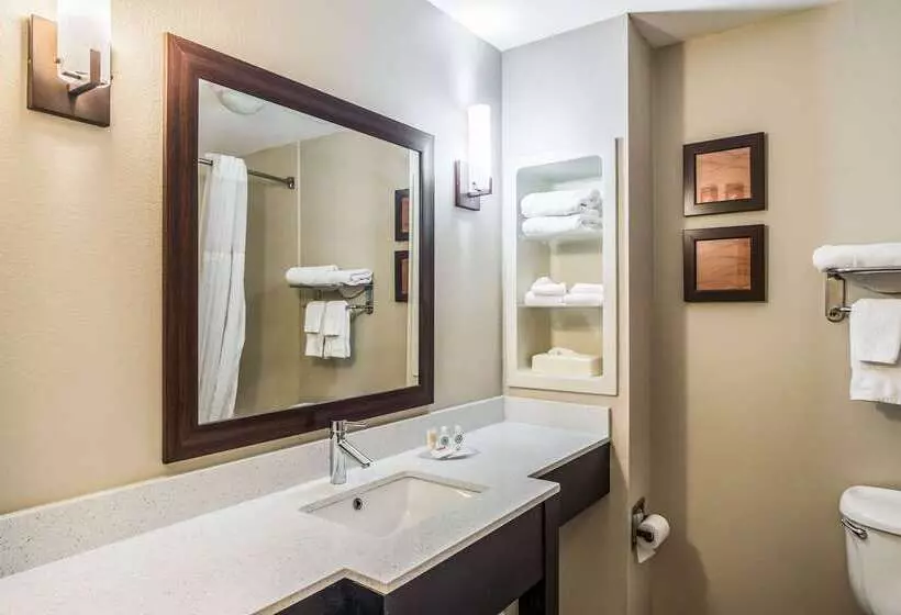 Отель Comfort Inn & Suites Chattanooga West Lookout Mountain