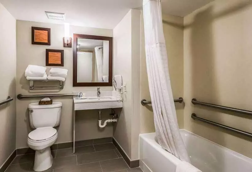 Отель Comfort Inn & Suites Chattanooga West Lookout Mountain