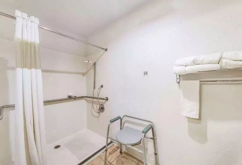 Отель Rodeway Inn Decatur