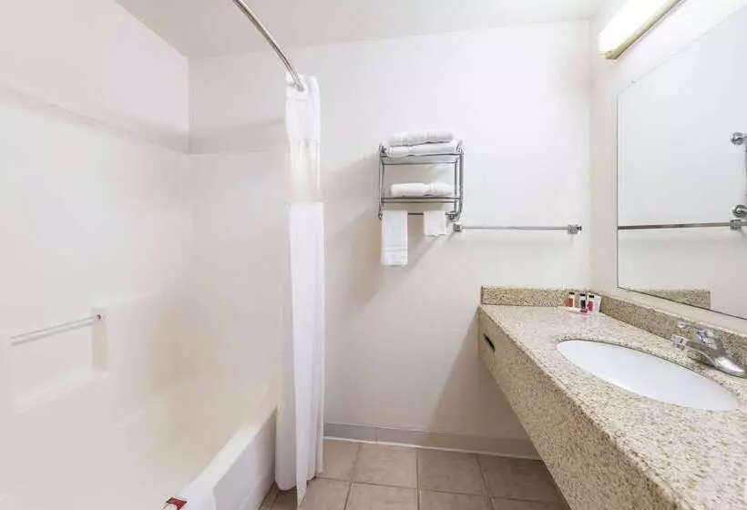 Отель Rodeway Inn Decatur