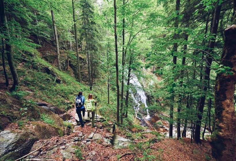 Pohorje Village Wellbeing Resort Wellness & Spa Hotel Bolfenk