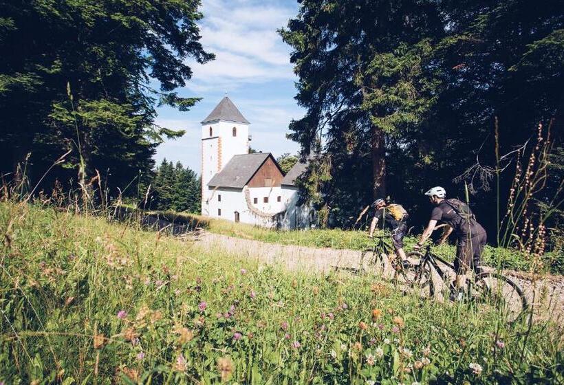 Pohorje Village Wellbeing Resort Wellness & Spa Hotel Bolfenk