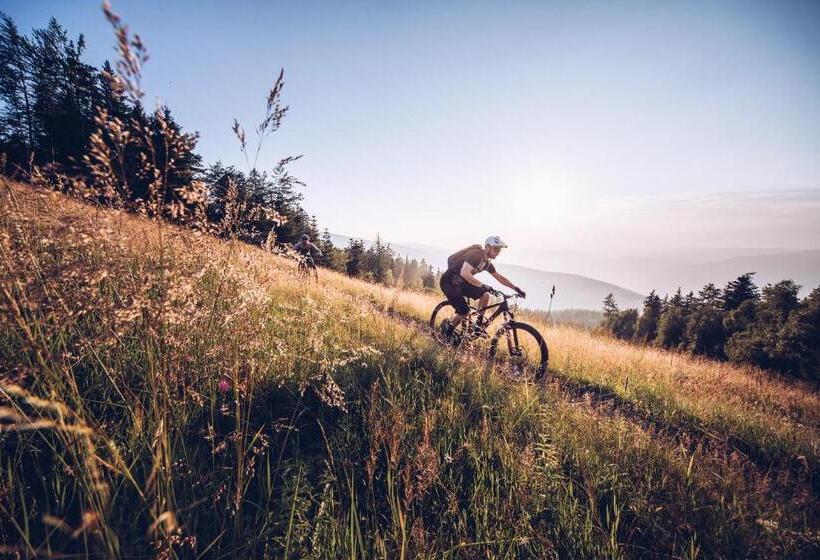 Pohorje Village Wellbeing Resort Wellness & Spa Hotel Bolfenk