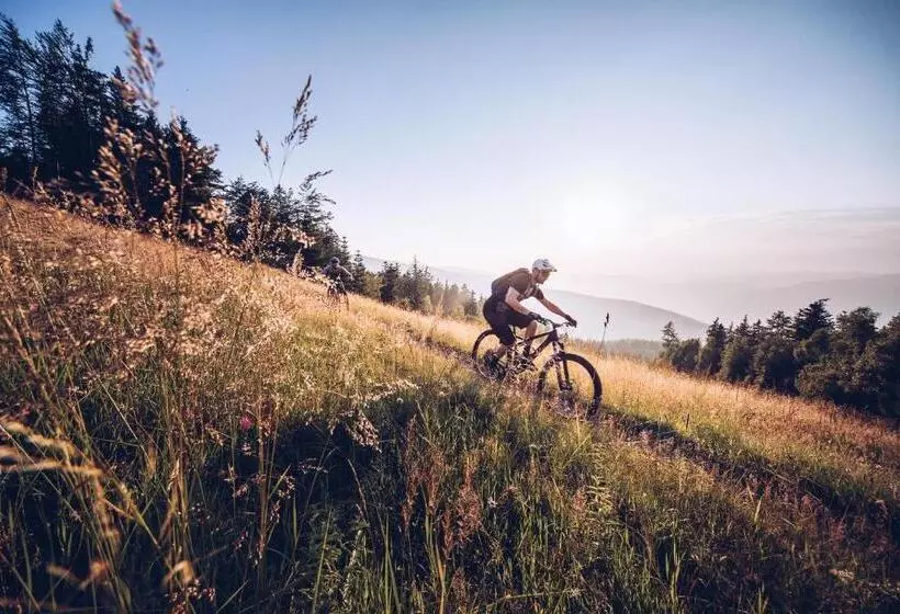 Pohorje Village Wellbeing Resort   Wellness & Spa Hotel Bolfenk