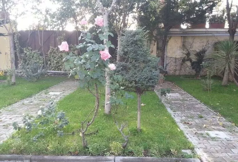 هتل Capodichino International